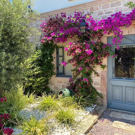 Ziyabey Konagi Ayvalı