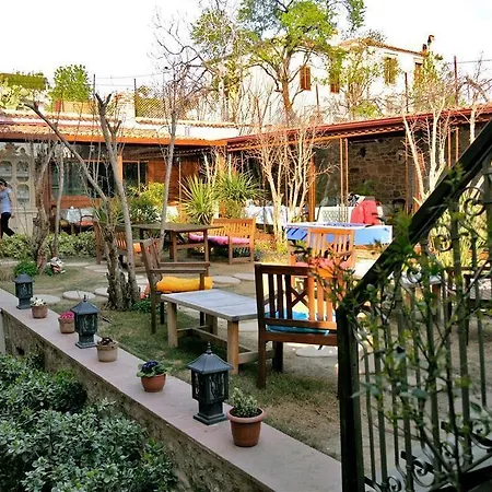 Ziyabey Konagi Ayvalı