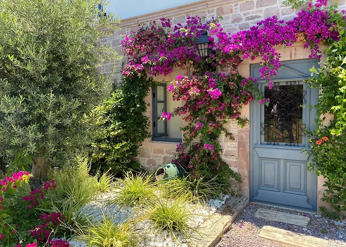 Ziyabey Konagi Ayvalı