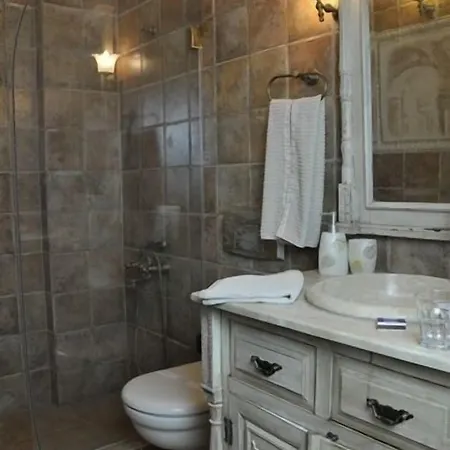 Guest house Ziyabey Konagi 4*