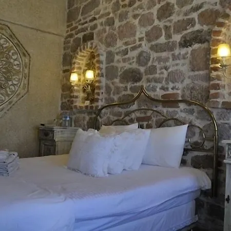 Maison d'hôtes Ziyabey Konagi 4*